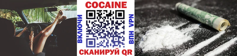 Купить где  Салаир  COCAIN Fish Scale 