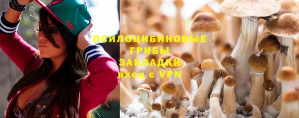 a pvp Ладушкин