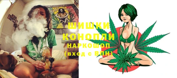 спайс Лагань